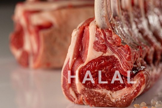 importateur viande halal suisse